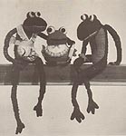 The Yarn Barn Fred and Fredonia Frog
