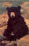 Annie's Attic Baby Animals: Black Bear Cub