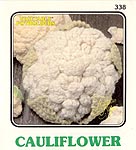 Annie's Attic Vegetable Potholders: Cauliflower